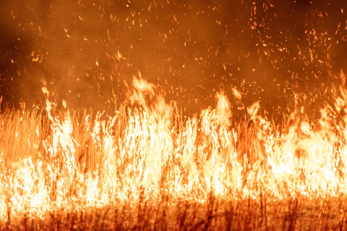 إجلاء الآلاف في فرنسا بسبب حرائق الغابات وتأثيرها على المسافرين