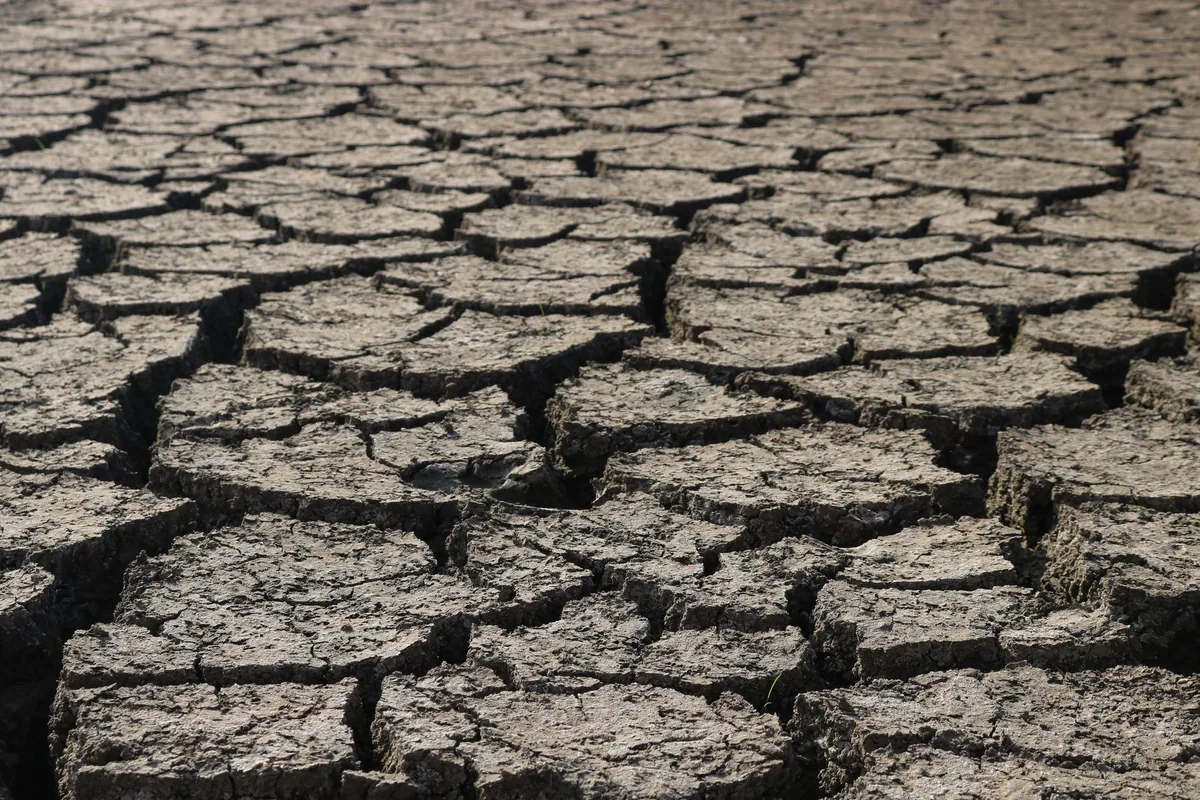 أزمة مياه في السويد: انخفاض المياه الجوفية لأدنى مستوى منذ الستينيات